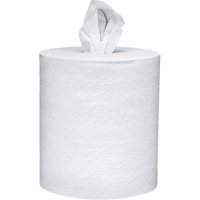 Essuie-tout Essential Scott, 2 pli, D&eacute;rouler par le centre, 625' lo Absolute Business Supply