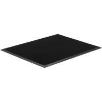 Tapis Gritstop Fingermat, Caoutchouc, Grattoir Type, Motif Textur&eacute;, 2' x 2-2/3', Noir Absolute Business Supply