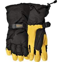 North of 49° Winter Gloves, Size Large Absolute Business Supply