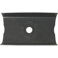 Grattoir &agrave; peinture 2-1/2" Absolute Business Supply