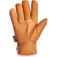 Endura&reg; Gloves, Large, Synthetic Palm, Thinsulate Inner Lining Absolute Business Supply
