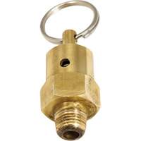 Soupape de rel&acirc;chement de pression Viton Absolute Business Supply