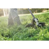 Max* Cordless Brushless Attachment-Capable String Trimmer, 17", Battery Powered, 60 V Absolute Business Supply