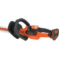 Ensemble de taille-haie sans fil Max* PowerCut, 22", 20 V, &agrave; pile Absolute Business Supply