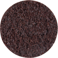 Standard Abrasives Surface Conditioning Discs, 2" Dia., Coarse Grit Absolute Business Supply