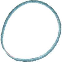 Scotch-Brite Surface Conditioning Belt Absolute Business Supply