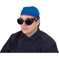 Lunettes &agrave; coque, Lentille 5,0, Anti-&eacute;gratignures, Ventilation Ferm&eacute; Absolute Business Supply
