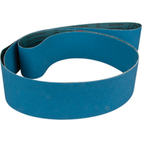 Blue Abrasive Belt Absolute Business Supply