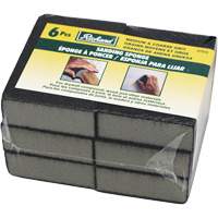 Wet and Dry Sanding Sponges Absolute Business Supply