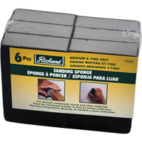 Sanding Sponge Absolute Business Supply