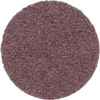 PSA Cloth Disc 348D, 20" Dia., 60 Grit, Aluminum Oxide Absolute Business Supply
