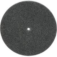 Scotch-Brite EXL Unitized Wheel, 5" x 1/4", 1/4" Arbor, Fine Grit, Silicon Carbide Absolute Business Supply