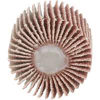 Flap Disc 747D, Aluminum Oxide/Ceramic, 80 Grit, 1" x 1" x 1/4" Absolute Business Supply