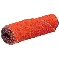 Rouleau de cartouche Blaze R920, 60 Grain, 3/8" dia., C&eacute;ramique d'alumine, 1-1/2" lo, 1/8" Dimension de l'arbre Absolute Business Supply