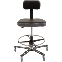 TF160 Industrial Grade Ergonomic Chair, Mobile, Adjustable Height, 300 lbs. Capacity Absolute Business Supply