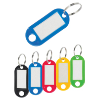 Porte-cl&eacute;s en plastique Absolute Business Supply