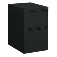 Classeur vertical, Acier, 2 tiroirs, 18-1/7" la x 25" p x 29" h, Noir Absolute Business Supply