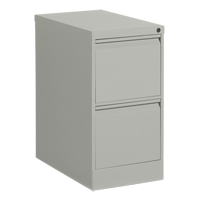 Classeur vertical, Acier, 2 tiroirs, 15-1/7" la x 25" p x 29" h, Gris Absolute Business Supply