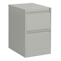Classeur vertical, Acier, 2 tiroirs, 18-1/7" la x 25" p x 29" h, Gris Absolute Business Supply