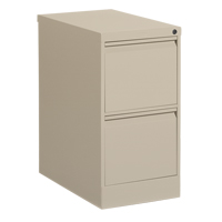 Classeur vertical, Acier, 2 tiroirs, 15-1/7" la x 25" p x 29" h, Beige Absolute Business Supply