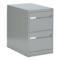 Vertical Filing Cabinet with Recessed Drawer Handles, 2 Drawers, 18.15" W x 26.56" D x 29" H, Grey Absolute Business Supply