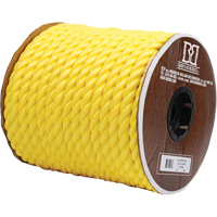 Twisted Poly Ropes