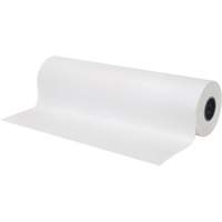Papier, Papier journal, 12" x 1695', 30 lb, Rouleau Absolute Business Supply