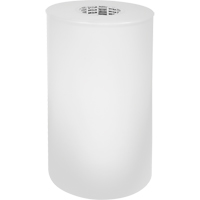 Removable Protective Film, Vinyl, 305 mm (12") W x 201.2 m (660') L, 4 mils Thick Absolute Business Supply