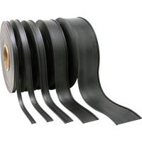 Porte-&eacute;tiquette, Magn&eacute;tique, 600" lo x 2" la Absolute Business Supply
