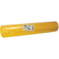 Sacs &agrave; d&eacute;chets, Biorisque, 60" lo x 36" la, 6 mils Absolute Business Supply