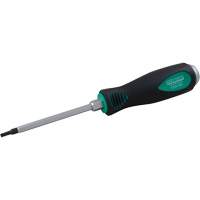 Torx&reg; Screwdriver Absolute Business Supply