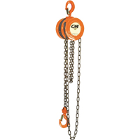 Chain Hoist, 10' Lift, 1000 lbs. (0.5 tons) Capacity, Steel Chain Absolute Business Supply