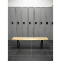 Banc pour vestiaire, Bois, 48" lo x 9-1/2" la x 16-1/2" h Absolute Business Supply