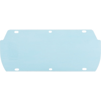 Facetec Polycarbonate Visor, Polycarbonate, Clear Tint Absolute Business Supply