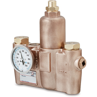 Vannes de m&eacute;lange thermostatiques, 19,5 gal./min Absolute Business Supply