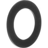 Replacement Gaskets for Inhalation Valves Absolute Business Supply