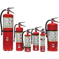 Extincteur d'incendie, ABC, Capacit&eacute; 30 lb Absolute Business Supply