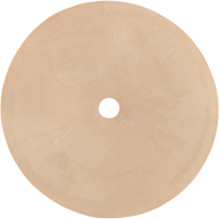Survivair&reg; Inhalation Valve Absolute Business Supply