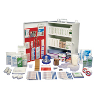 Workplace Deluxe First Aid Kits, Class 1 Medical Device, Metal Box Absolute Business Supply