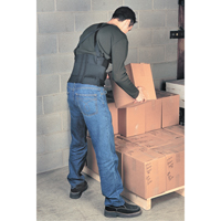 ALLEGRO INDUSTRIES Bodybelt, Elastic, Small Absolute Business Supply