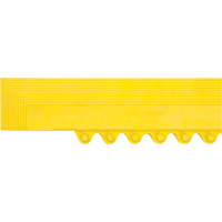 Rampe de bordure pour tapis Absolute Business Supply