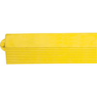 Rampe de bordure pour tapis Absolute Business Supply