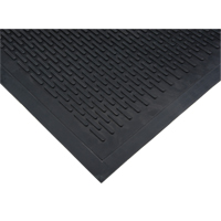 Tapis &agrave; profil bas, Caoutchouc, Grattoir Type, Motif Plein, 3' x 5', Noir Absolute Business Supply