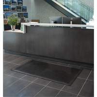 Tapis &agrave; profil bas, Caoutchouc, Grattoir Type, Motif Plein, 3' x 5', Noir Absolute Business Supply