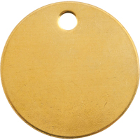 Blank Tags, Brass, 1" dia Absolute Business Supply