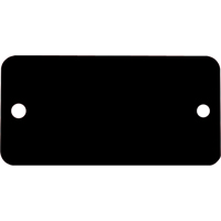 Blank Tags, Aluminum, 3" W x 1" H Absolute Business Supply