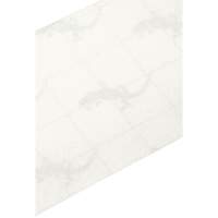 Ruban antid&eacute;rapant de premi&egrave;re qualit&eacute;, 4" x 60', Transparent Absolute Business Supply