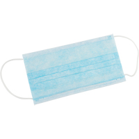 Disposable Face Masks, Non-Medical Absolute Business Supply