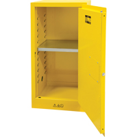 Armoire pour produits inflammables, 16 gal., 1 Porte(s), 23" La x 44" h x 18" p Absolute Business Supply