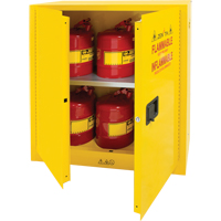 Armoire pour produits inflammables, 30 gal., 2 Porte(s), 43" La x 44" h x 18" p Absolute Business Supply